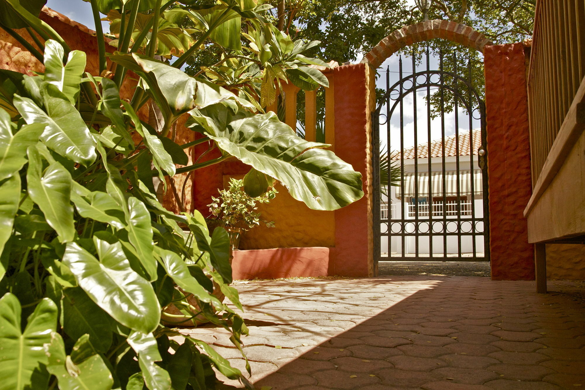 Flamboyant Garden Villas Oranjestad Esterno foto